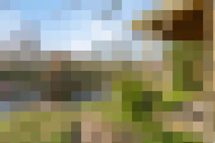 Heiweg 3 Herpen thumbnail 79