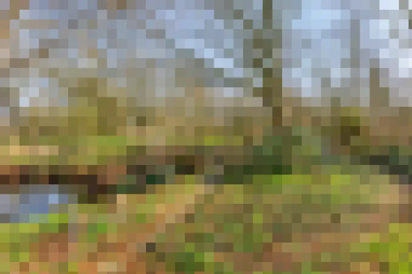 Heiweg 3 Herpen thumbnail 80