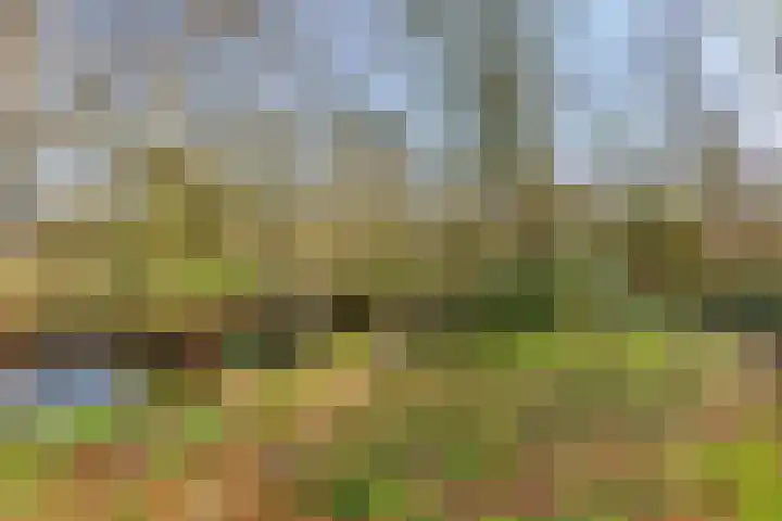 Heiweg 3 Herpen thumbnail 80