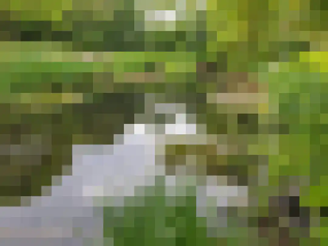 Heiweg 3 Herpen thumbnail 81