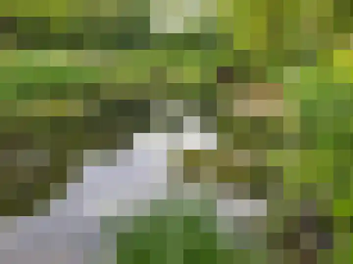 Heiweg 3 Herpen thumbnail 81