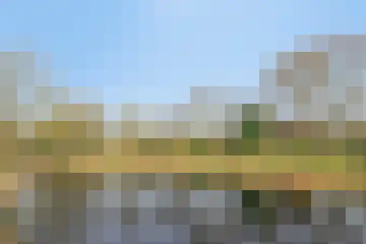 Heiweg 3 Herpen thumbnail 82