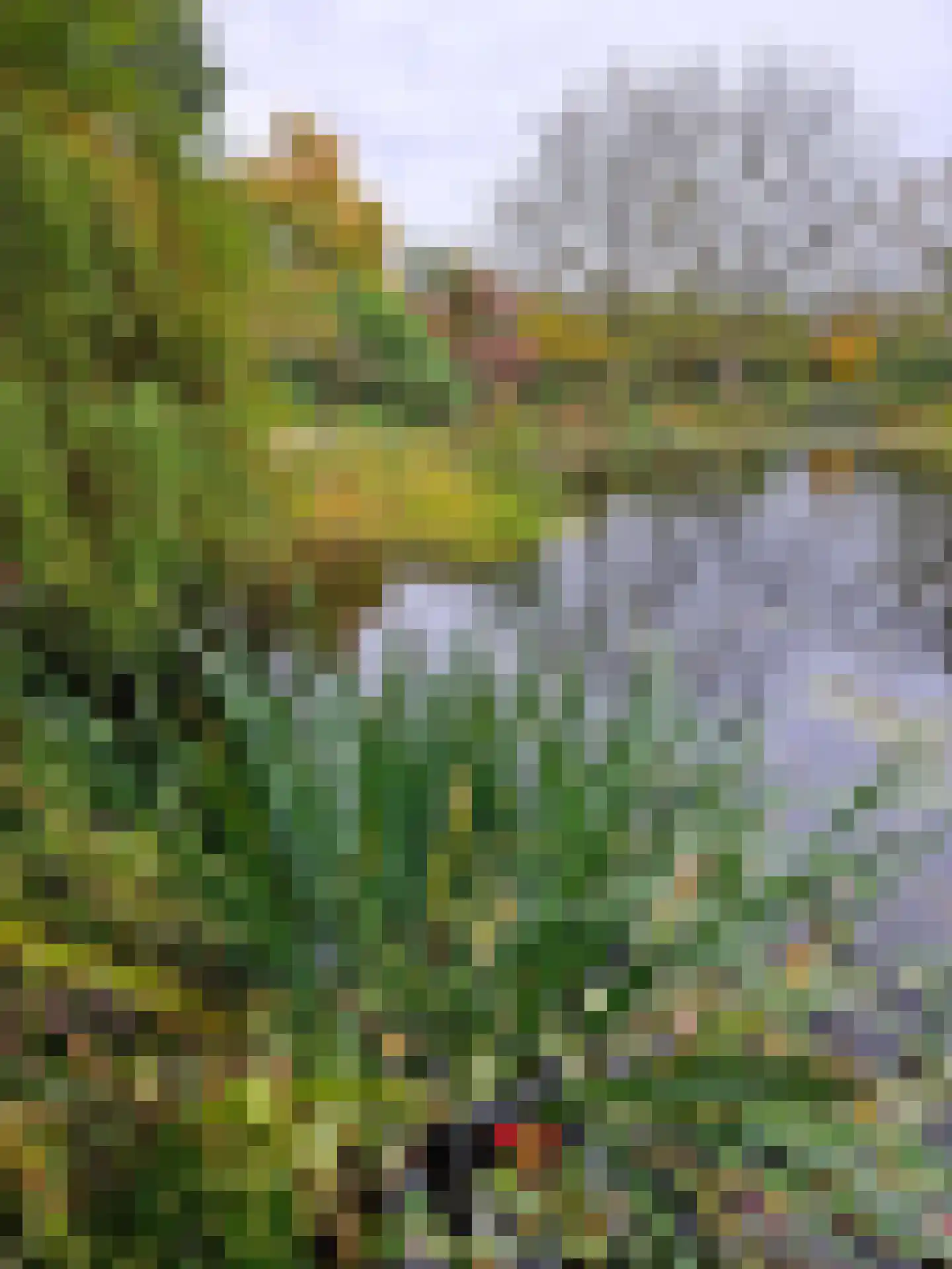 Heiweg 3 Herpen thumbnail 83