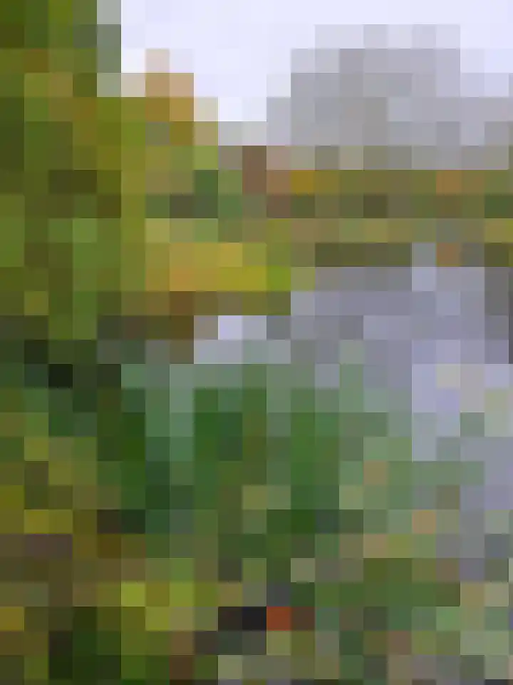 Heiweg 3 Herpen thumbnail 83