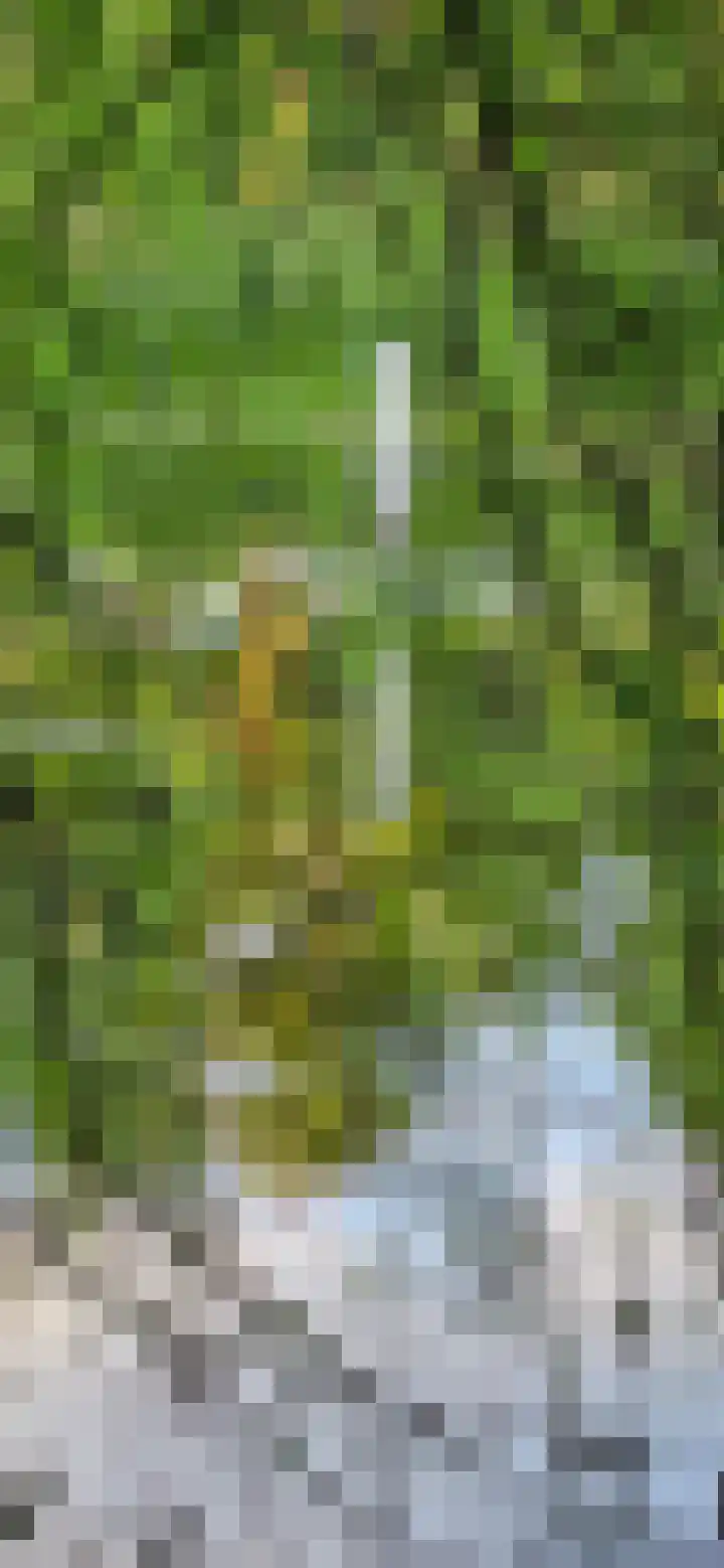 Heiweg 3 Herpen thumbnail 84