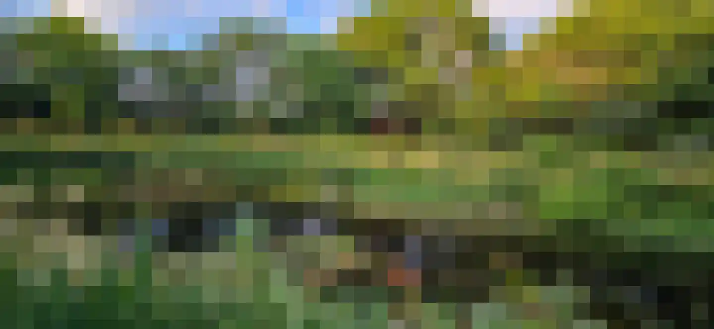 Heiweg 3 Herpen thumbnail 85