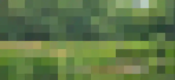 Heiweg 3 Herpen thumbnail 87