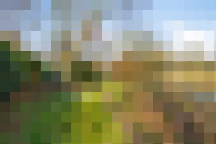 Heiweg 3 Herpen thumbnail 88
