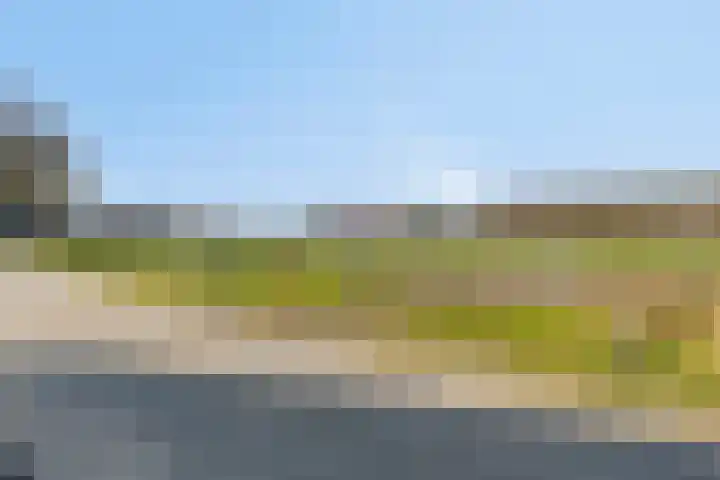 Heiweg 3 Herpen thumbnail 89