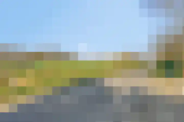 Heiweg 3 Herpen thumbnail 90