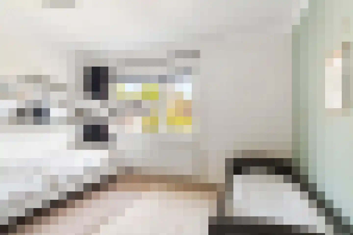 Heiweg 328 Nijmegen thumbnail 37