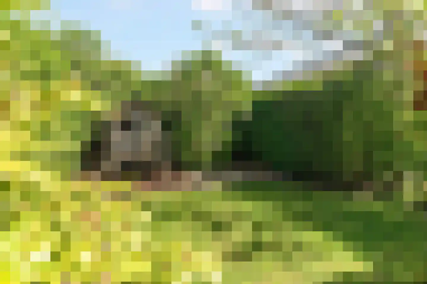 Heiweg 328 Nijmegen thumbnail 68