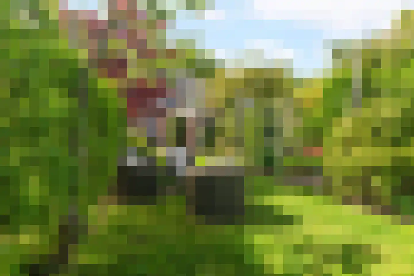 Heiweg 328 Nijmegen thumbnail 69