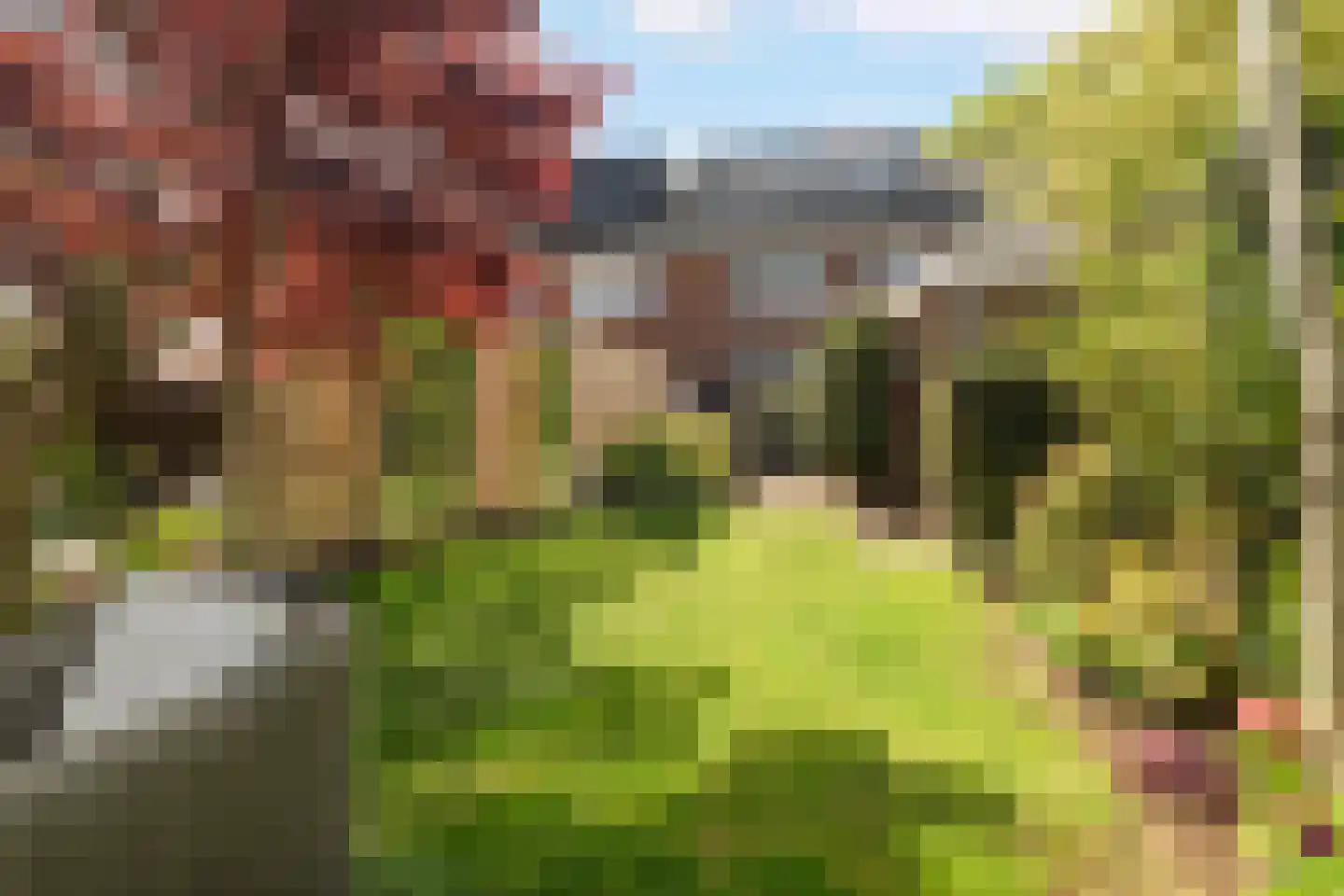 Heiweg 328 Nijmegen thumbnail 72