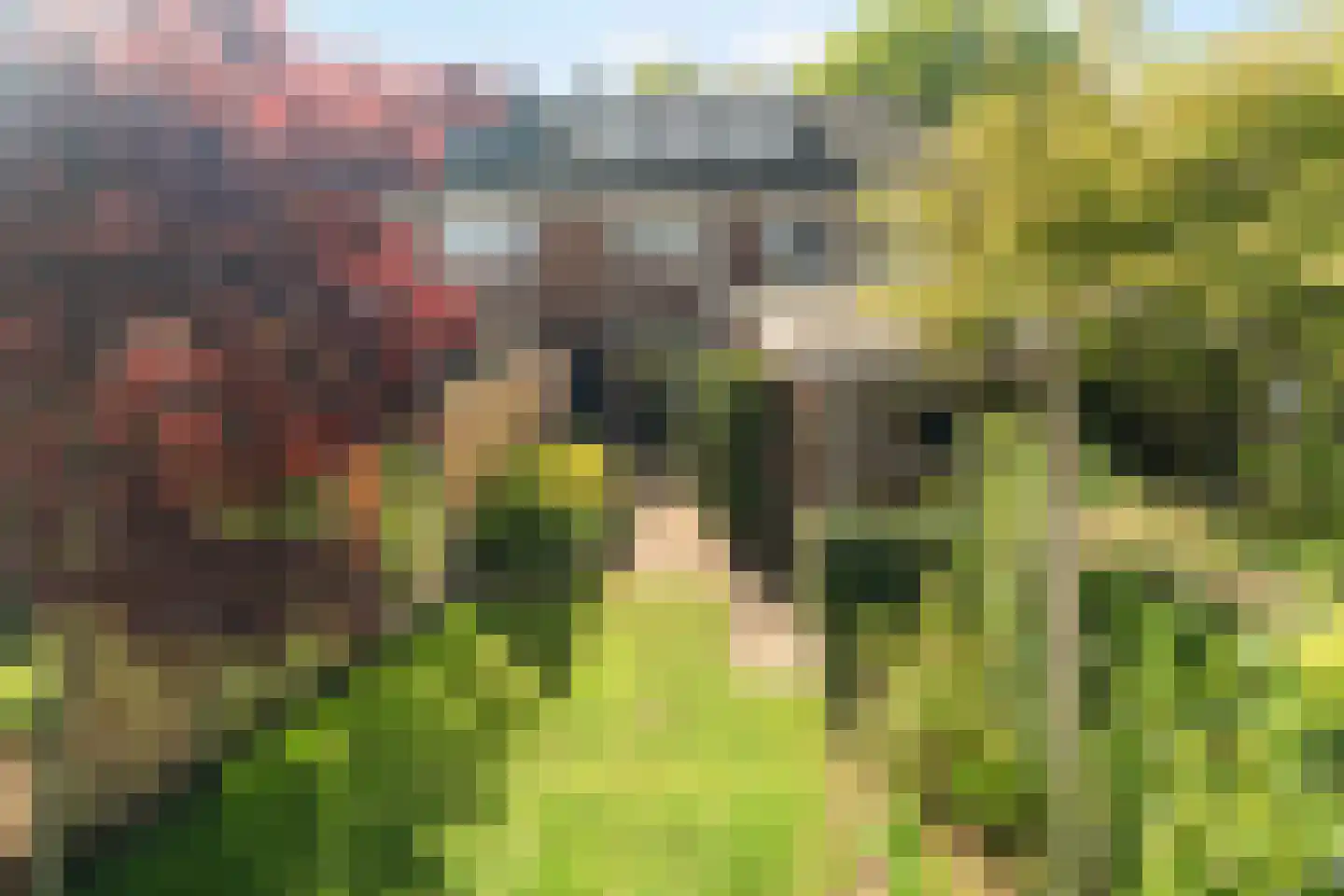 Heiweg 328 Nijmegen thumbnail 73