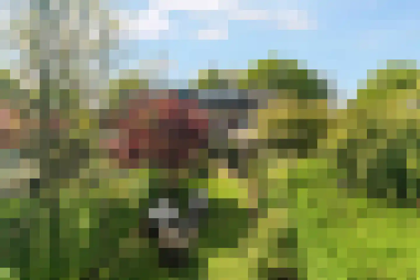 Heiweg 328 Nijmegen thumbnail 74