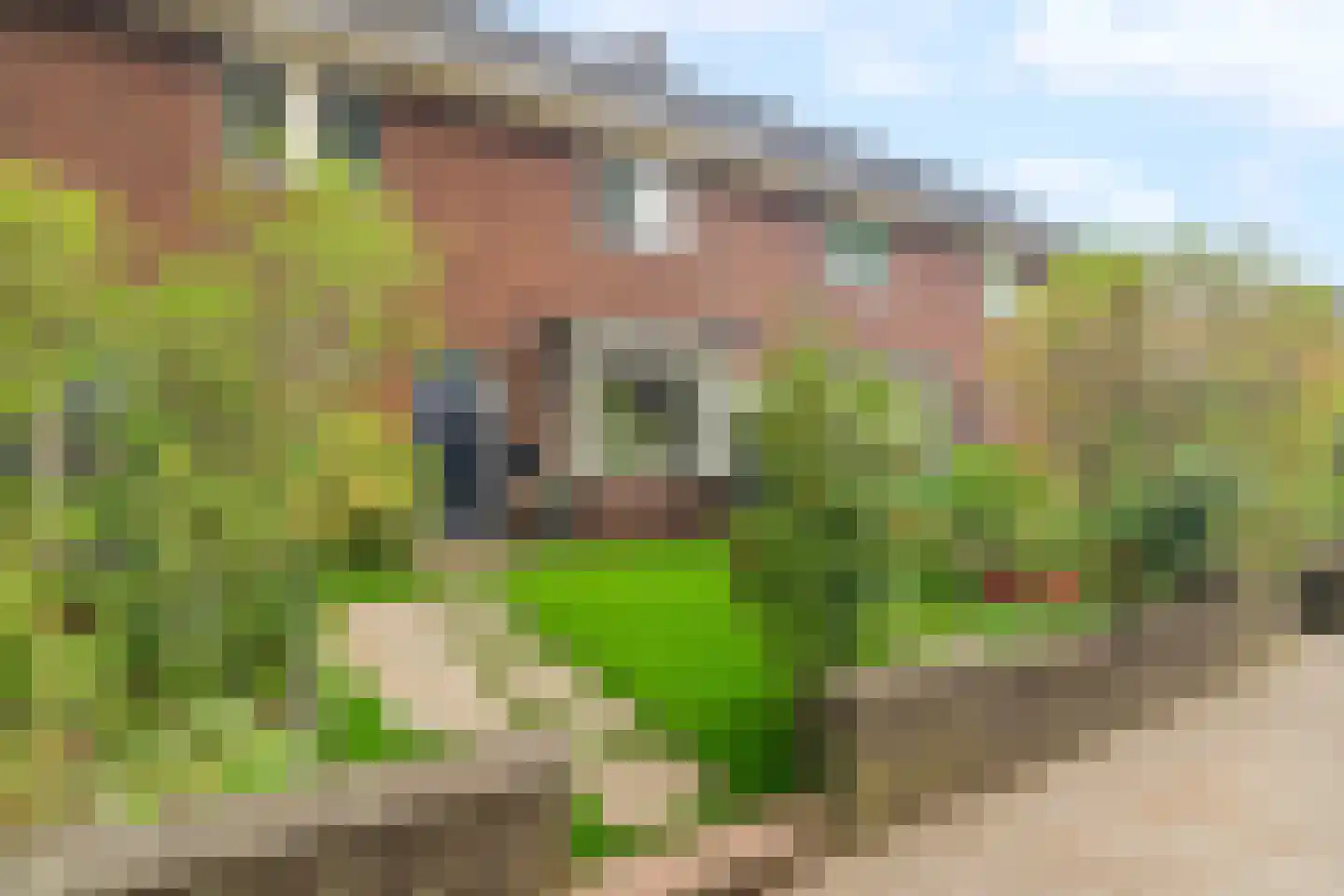 Heiweg 328 Nijmegen thumbnail 8
