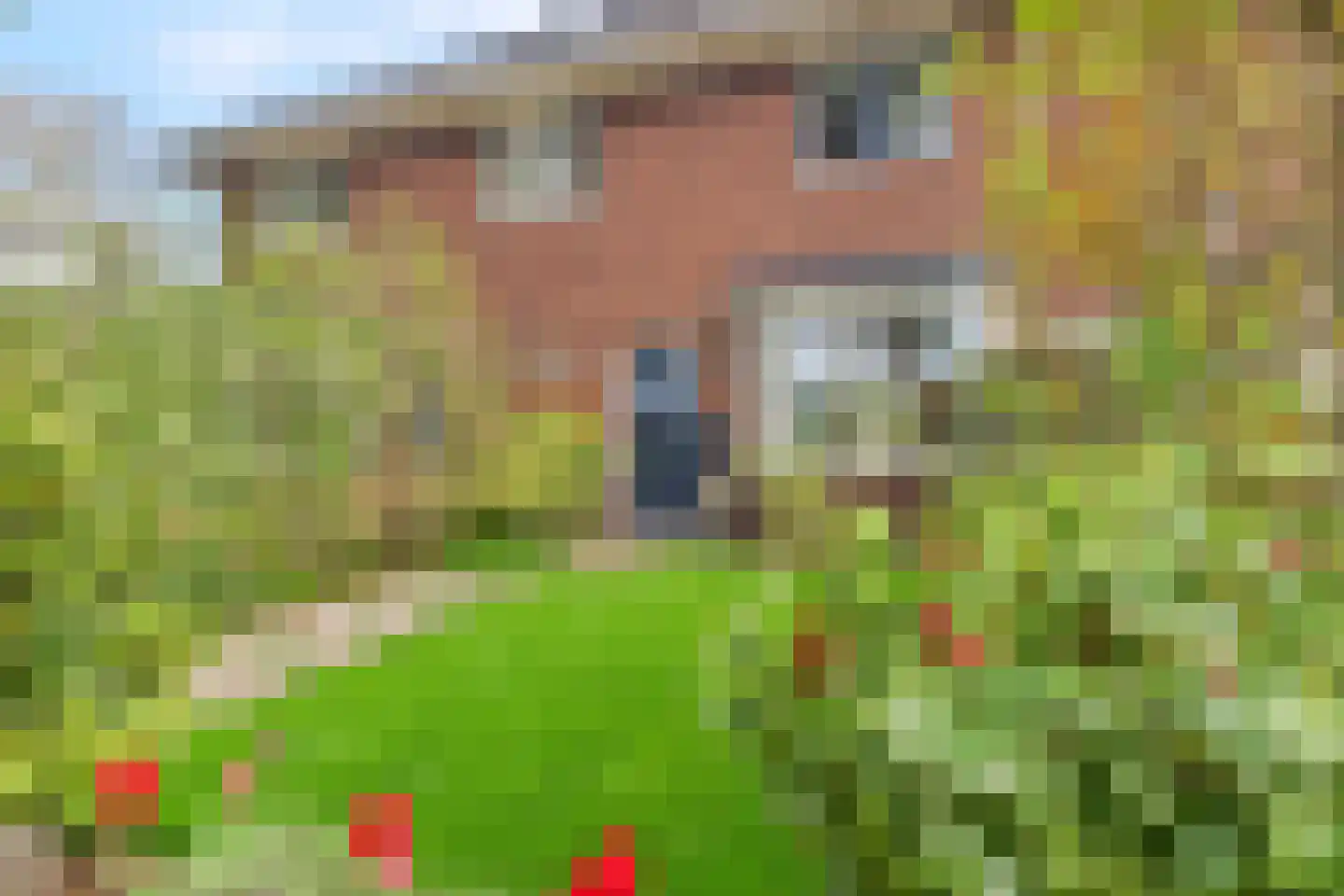 Heiweg 328 Nijmegen thumbnail 9