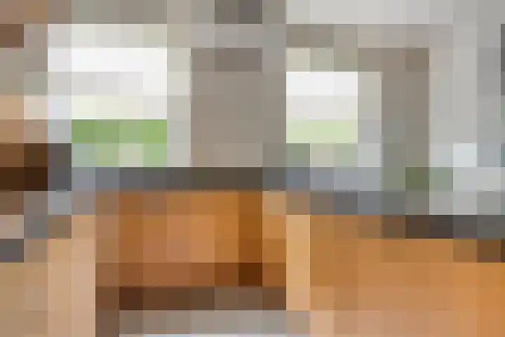 Heiweg 6 Nuland thumbnail 13