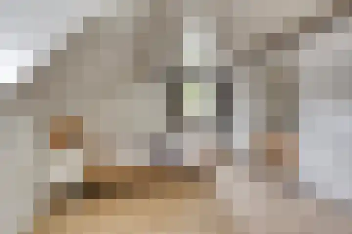 Heiweg 6 Nuland thumbnail 22