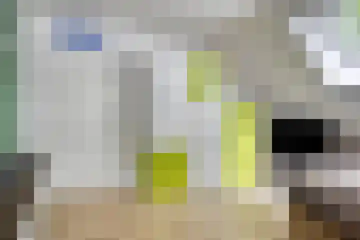 Heiweg 6 Nuland thumbnail 25