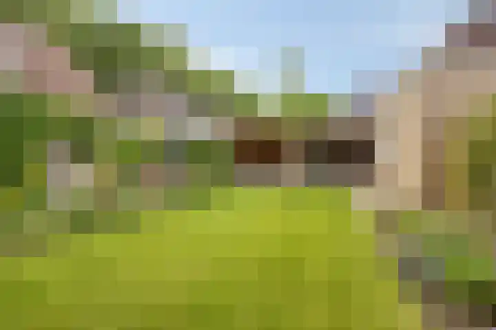 Heiweg 6 Nuland thumbnail 41