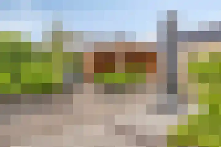 Heiweg 6 Nuland thumbnail 42