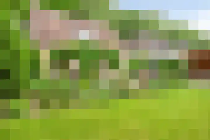Heiweg 6 Nuland thumbnail 45