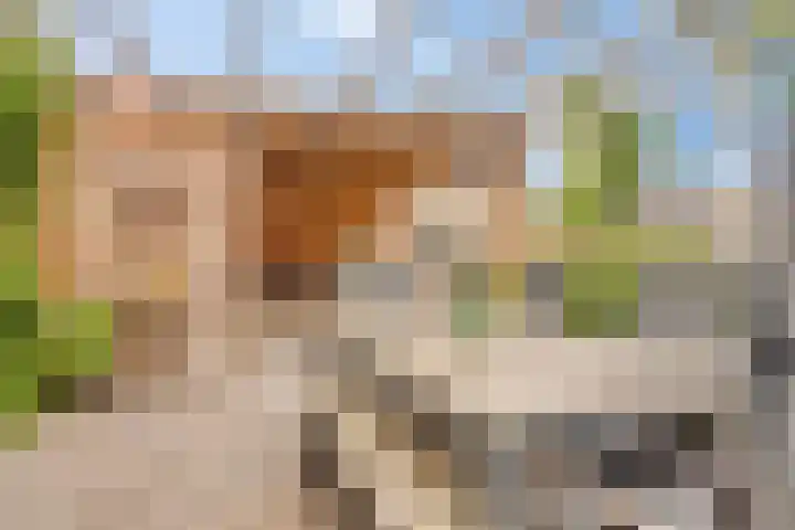 Heiweg 6 Nuland thumbnail 47