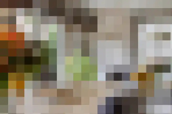 Heiweg 6 Nuland thumbnail 6