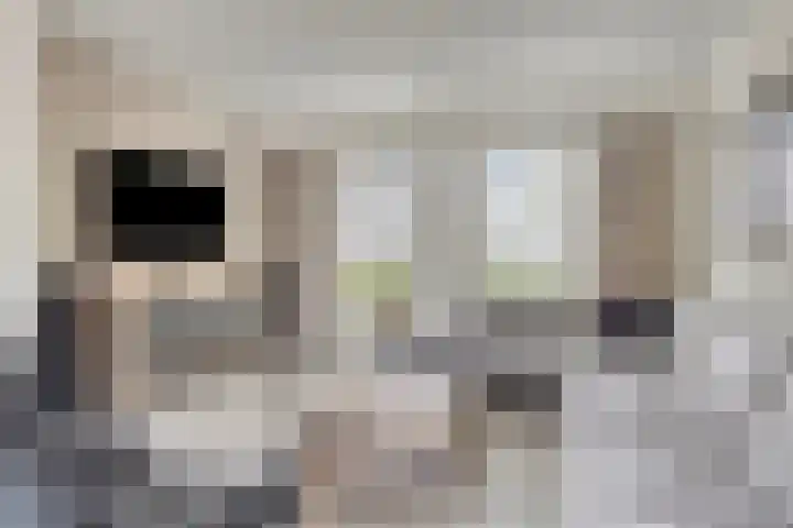 Heiweg 6 Nuland thumbnail 7