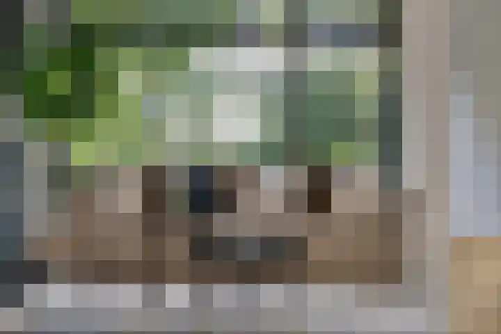 Heiweg 64 Nijmegen thumbnail 11