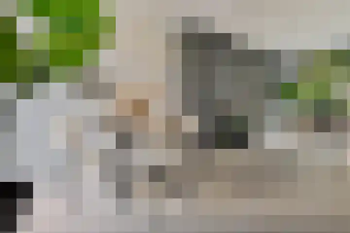 Heiweg 64 Nijmegen thumbnail 12