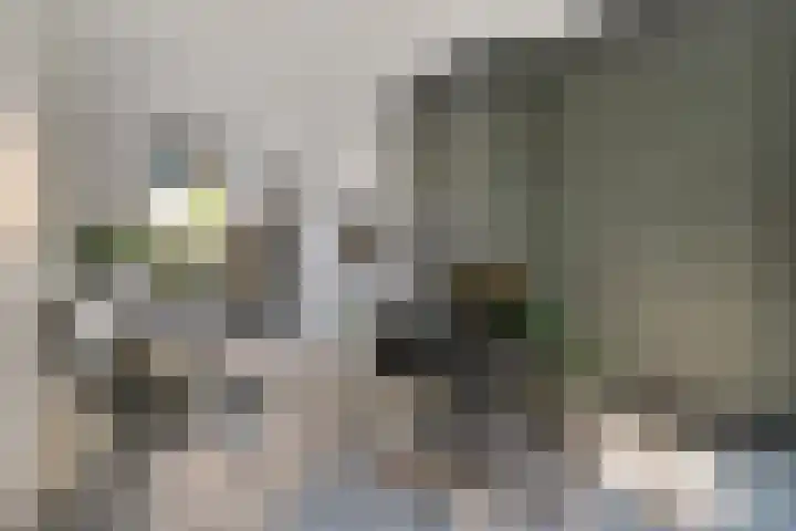 Heiweg 64 Nijmegen thumbnail 14
