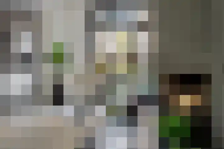 Heiweg 64 Nijmegen thumbnail 16