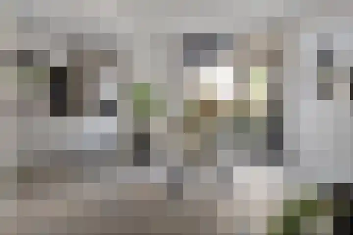 Heiweg 64 Nijmegen thumbnail 17