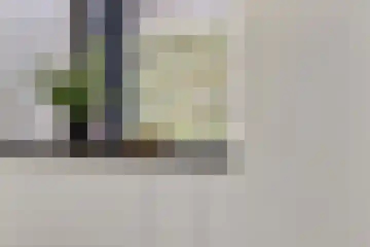 Heiweg 64 Nijmegen thumbnail 20