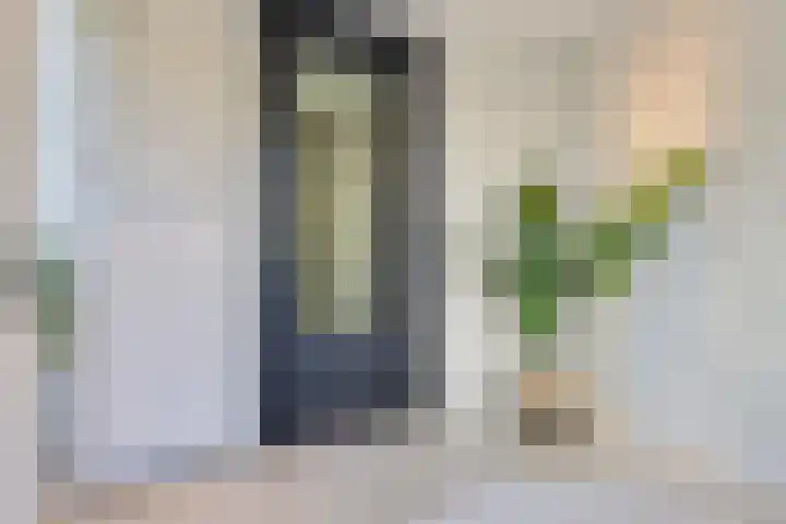 Heiweg 64 Nijmegen thumbnail 28
