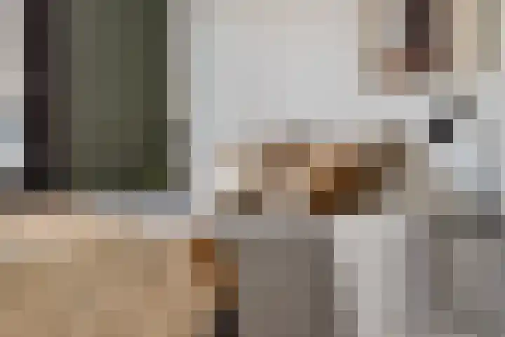Heiweg 64 Nijmegen thumbnail 36