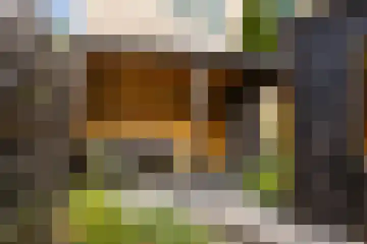 Heiweg 64 Nijmegen thumbnail 46