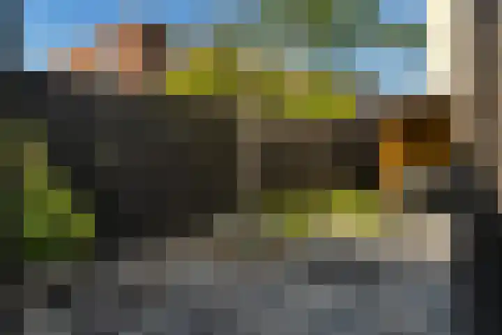 Heiweg 64 Nijmegen thumbnail 49
