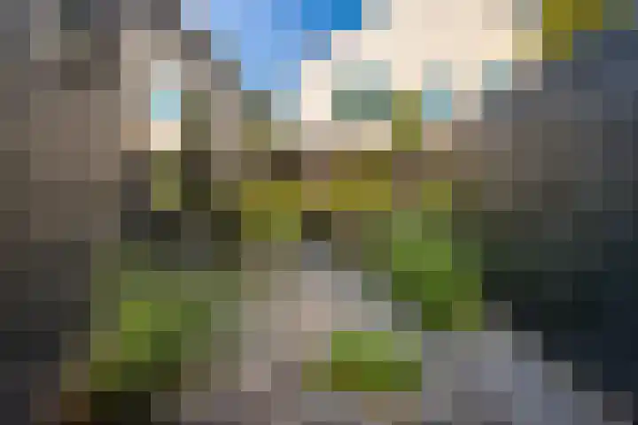 Heiweg 64 Nijmegen thumbnail 51