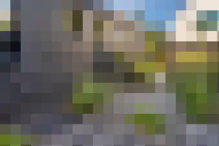 Heiweg 64 Nijmegen thumbnail 52