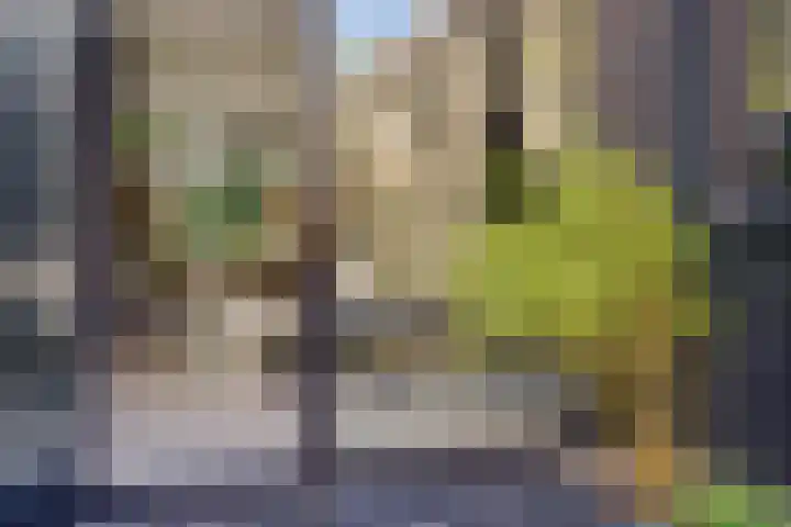 Heiweg 64 Nijmegen thumbnail 53