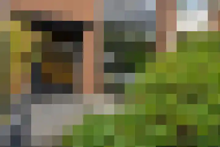 Heiweg 64 Nijmegen thumbnail 55