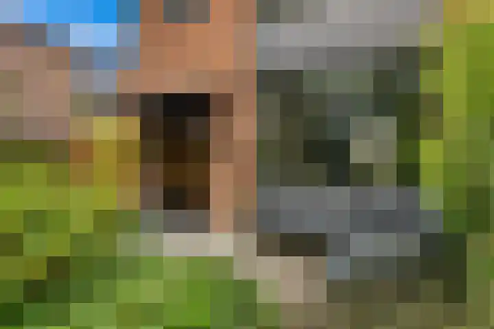 Heiweg 64 Nijmegen thumbnail 56