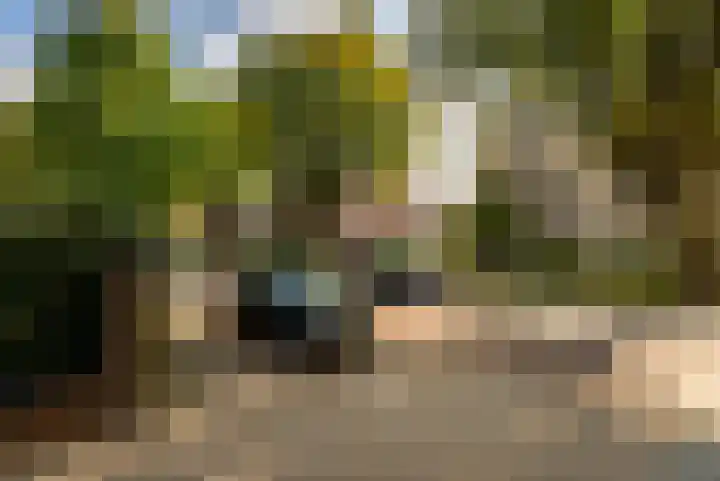 Heiweg 64 Nijmegen thumbnail 58