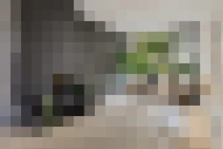 Heiweg 64 Nijmegen thumbnail 6