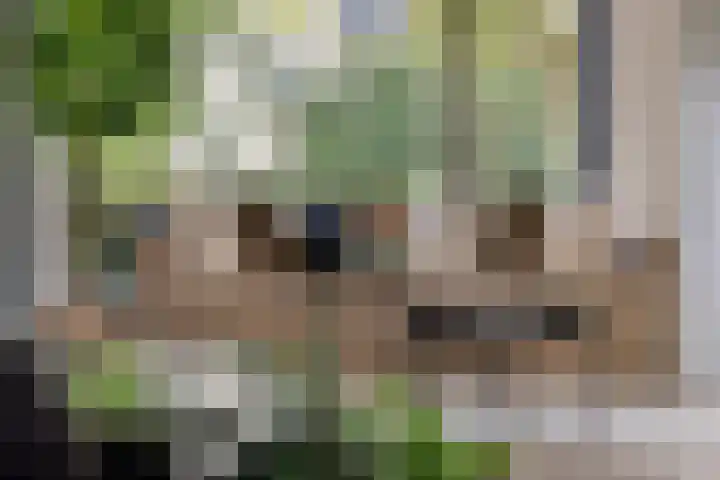 Heiweg 64 Nijmegen thumbnail 7