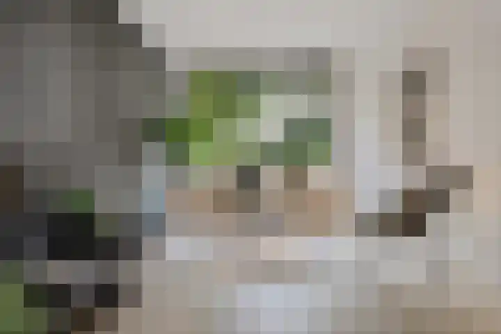 Heiweg 64 Nijmegen thumbnail 8